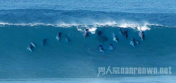 雷火官方网站入口